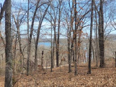 60 Green Cypress Lane, Shell Knob, 密蘇里州 65747, 美國