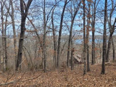 60 Green Cypress Lane, Shell Knob, 密蘇里州 65747, 美國