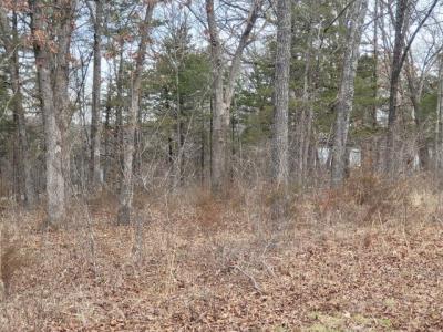 Lot 33 Eagles Point, Shell Knob, 密蘇里州 65747, 美國