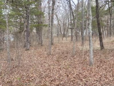 Lot 33 Eagles Point, Shell Knob, 密蘇里州 65747, 美國