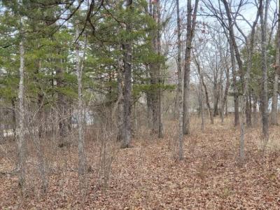 Lot 33 Eagles Point, Shell Knob, 密蘇里州 65747, 美國