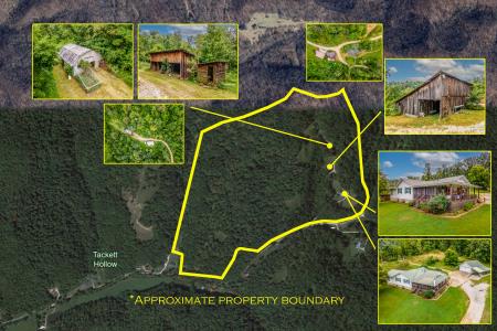 2451 Dog Trot Road, Frenchburg, Kentucky 40322, USA