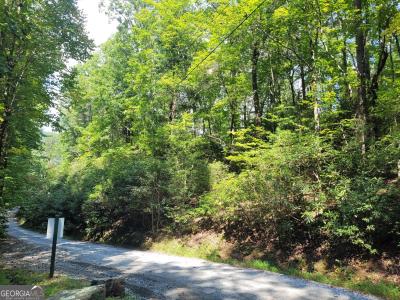Lot 6 Miners Mountain, Sautee Nacoochee, 乔治亚州 30571, 美国