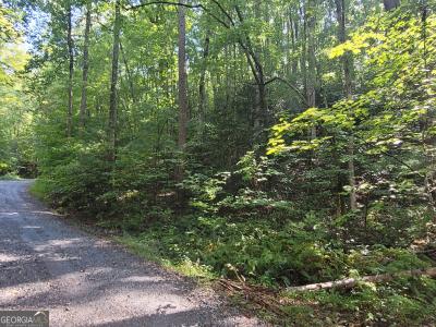 Lot 6 Miners Mountain, Sautee Nacoochee, 乔治亚州 30571, 美国