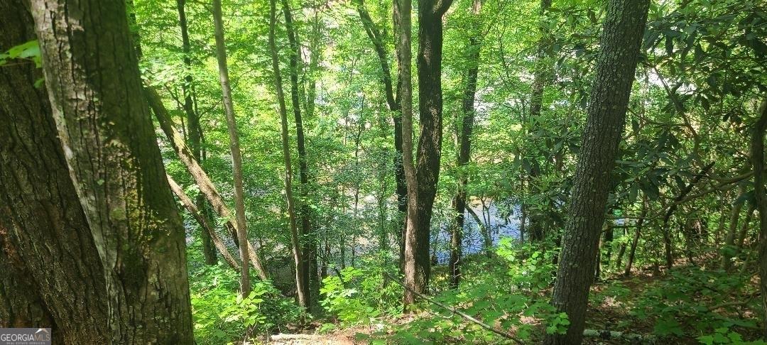 0 Ber Weg, Helen, Georgia 30545, Stati Uniti