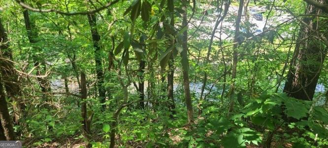 0 Ber Weg, Helen, Georgia 30545, Stati Uniti