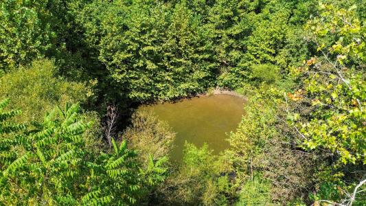 9701 Saloma Road, Campbellsville, Kentucky 42718, Estados Unidos