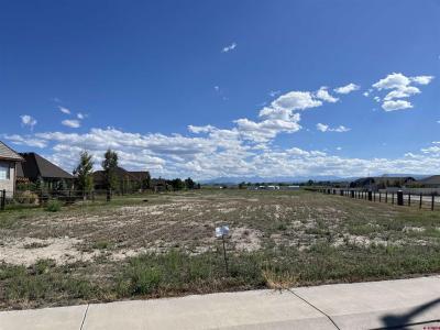 TBD Torrence Drive, Montrose, Colorado 81401, USA