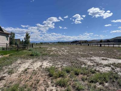 TBD Torrence Drive, Montrose, Colorado 81401, Stati Uniti