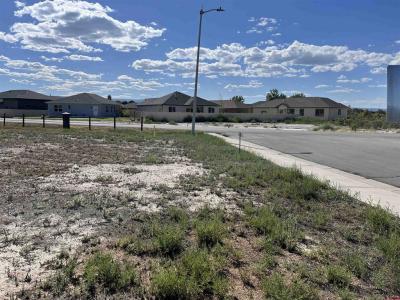 TBD Torrence Drive, Montrose, Colorado 81401, Stati Uniti