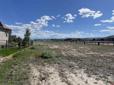 TBD Torrence Drive, Montrose, Colorado 81401, Stati Uniti