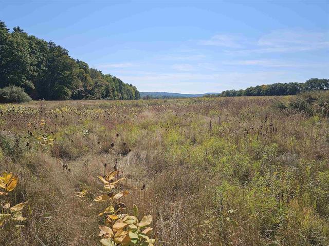 0 Shaw Road, Barnstead, New Hampshire 03218, Stati Uniti