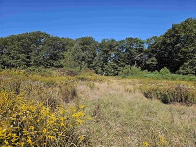 0 Shaw Road, Barnstead, New Hampshire 03218, Stati Uniti