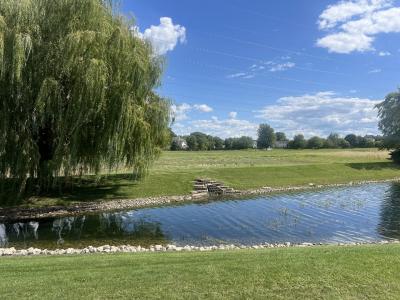 251 Summerfield Drive, Romeoville, Illinois 60446, Estados Unidos