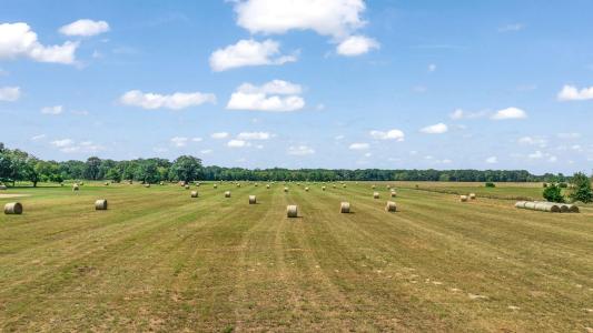 1750 County Road 34430, Sumner, 得克萨斯州 75486, 美国