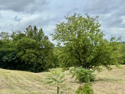 262 County Road 849, Etowah, Tennessee 37331, USA