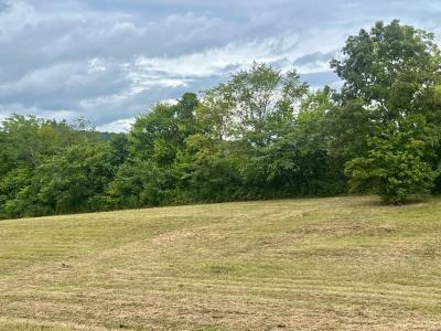 262 County Road 849, Etowah, 田纳西州 37331, 美国