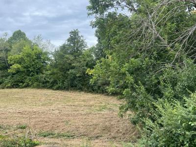 262 County Road 849, Etowah, 田纳西州 37331, 美国