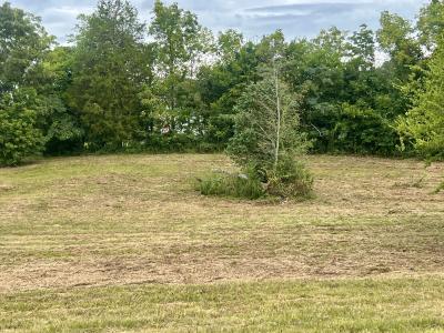 262 County Road 849, Etowah, 田纳西州 37331, 美国