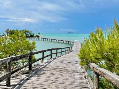 Periferia Kavajë, Kavajë, Albania