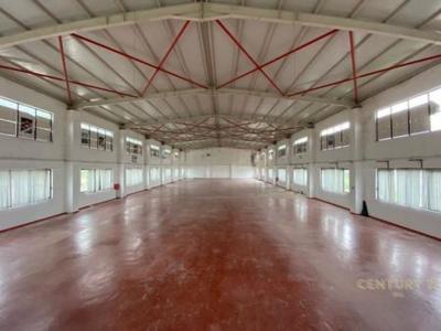 Mullet, Tirana, Albania