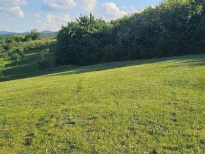 Periferia Lezhë, Lezhë, Albânia