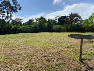 San Ramón San Ramón, Alajuela 00001, Costa Rica