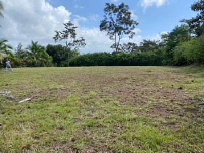 San Ramón San Ramón, アラフエラ 00001, コスタリカ