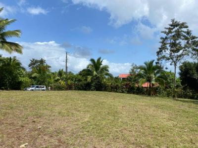 San Ramón San Ramón, アラフエラ 00001, コスタリカ