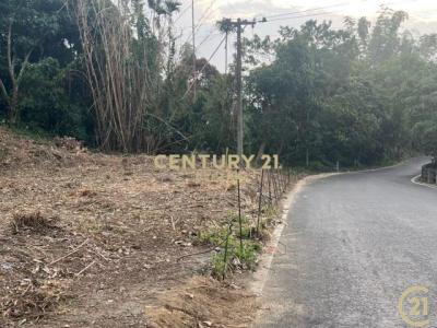 聯合段, Fengyuan Dist., 台中 420, 台湾