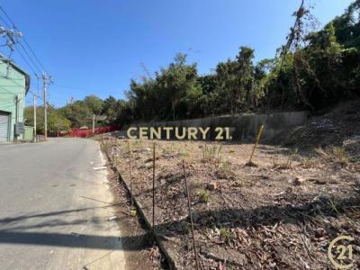 聯合段, Fengyuan Dist., 台中 420, 台湾