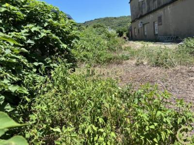 貓兒錠段後面小段, Zhubei City, Hsinchu County 302, 台湾