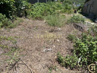 貓兒錠段後面小段, Zhubei City, Hsinchu County 302, 台湾