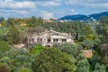 Via di Grotte Maria, Frascati, Lazio 00044, Italy