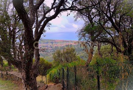 via degli olivi, Castiglione Della Pescaia, Toscana 58043, איטליה