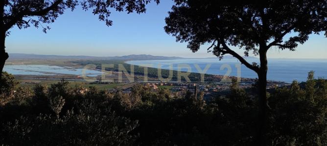 via degli olivi, Castiglione Della Pescaia, Toscana 58043, איטליה