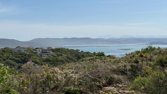 Knysna, Western Cape, Южная Африка