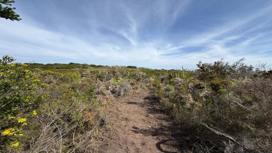 Knysna, Western Cape, Южная Африка