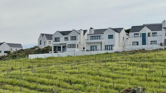 Stellenbosch, Western Cape, דרום אפריקה 