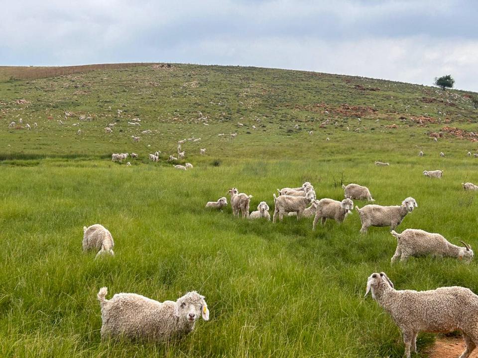 Potchefstroom, North West, África Do Sul