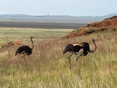 Potchefstroom, North West, África Do Sul