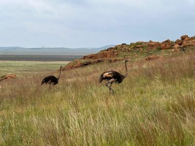 Potchefstroom, North West, África Do Sul