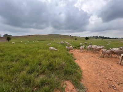 Potchefstroom, North West, África Do Sul