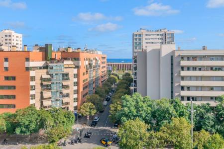 Barcelona, Cataluña/Catalunya 08005, Spain