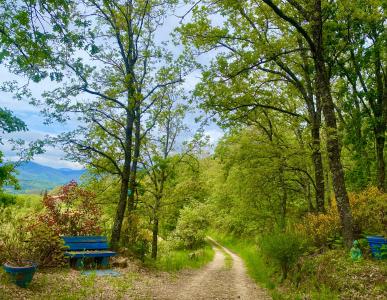 Cáceres, Extremadura 10450, Spain