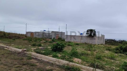 Urbanización Ciudad Mangle - del Cantón Montecristi S/N, Montecristi, Manabí 00001, Ecuador