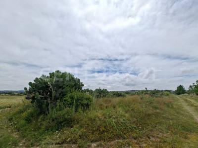 Parcela 69 69,, Zempoala, 伊达尔戈 43838, 墨西哥