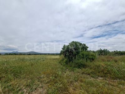 Parcela 69 69,, Zempoala, 伊达尔戈 43838, 墨西哥