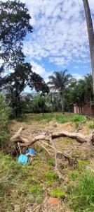 Valle Sanchez , Norte, Santa Cruz 00001, Bolivia