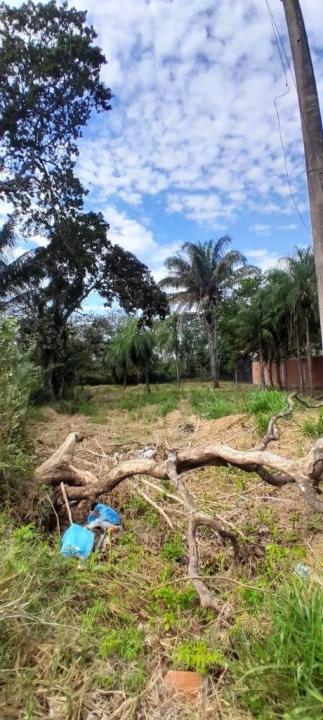 Valle Sanchez , Norte, Santa Cruz 00001, בוליביה